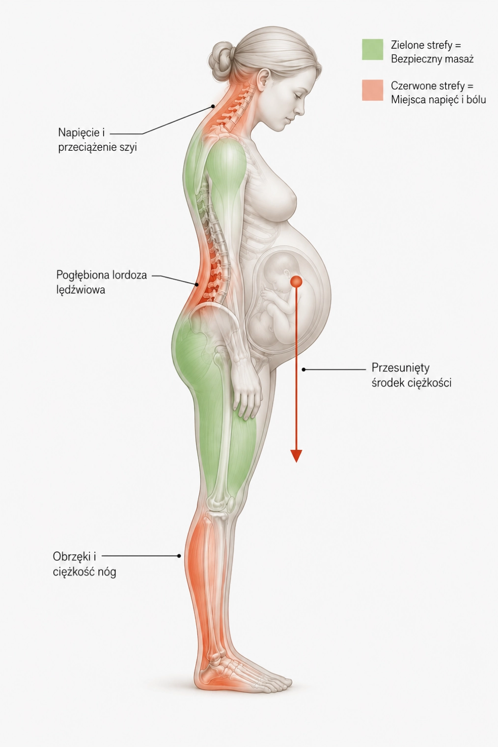 Schemat biomechaniki i przeciążeń w ciąży ukazujący przesunięty środek ciężkości.