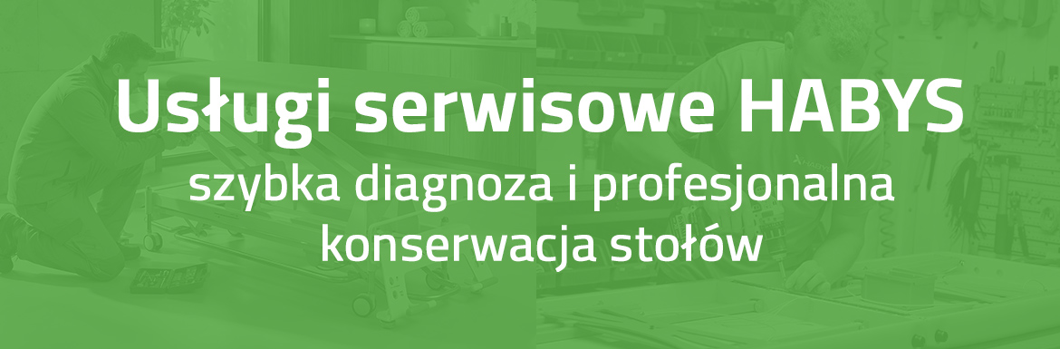 serwis