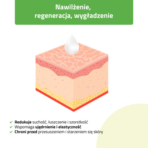 Olejek do masażu Nature Sweet Almond HABYS 100 ml z pipetą